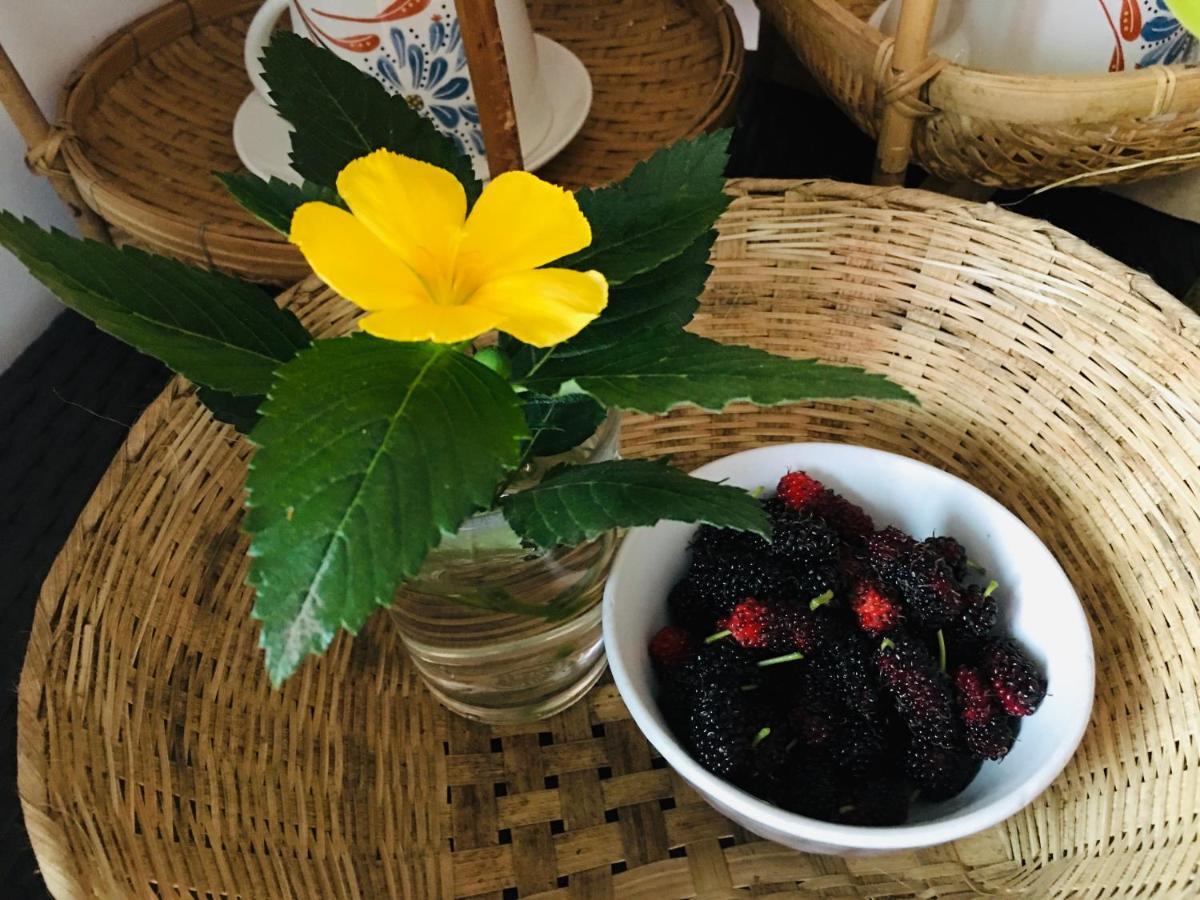 Mae-Sa-Riang Home ماي ساريانغ المظهر الخارجي الصورة