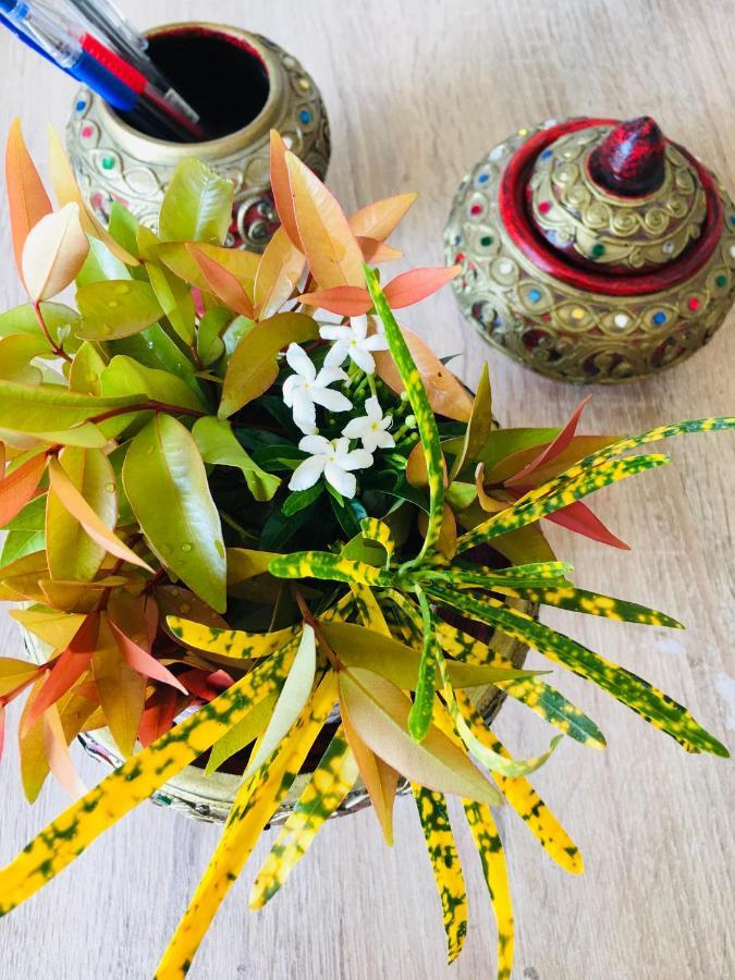 Mae-Sa-Riang Home ماي ساريانغ المظهر الخارجي الصورة
