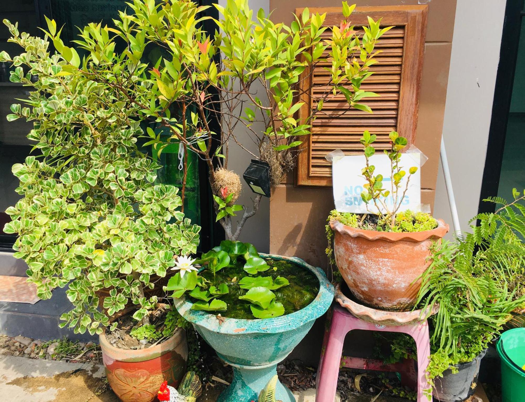 Mae-Sa-Riang Home ماي ساريانغ المظهر الخارجي الصورة